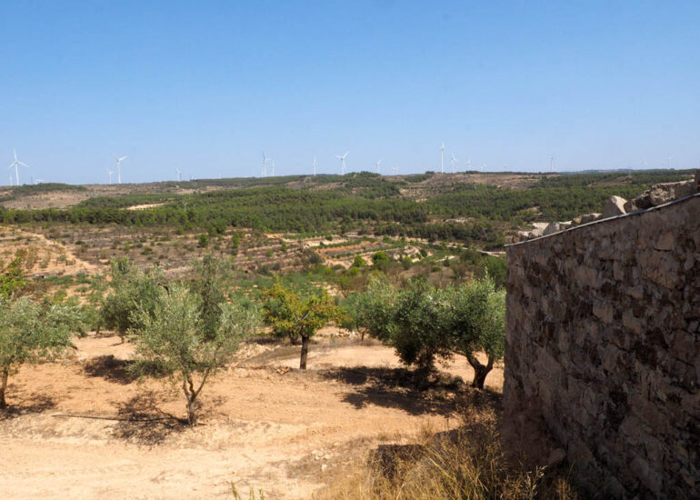 Una plantación de 750 olivos que producen 8.200 kg con masia y almacén y con agua de la red de regantes de la Terra Alta. Tarragona